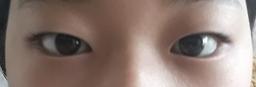 이미지 5