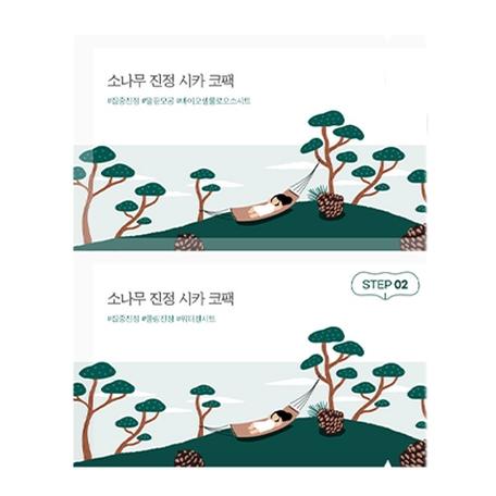 소나무 진정 시카 코팩